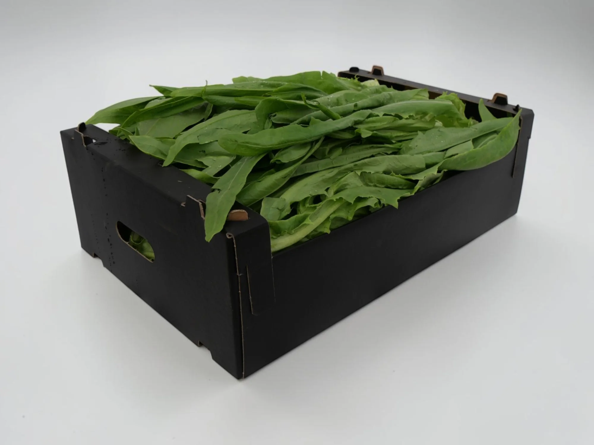 Mak choi