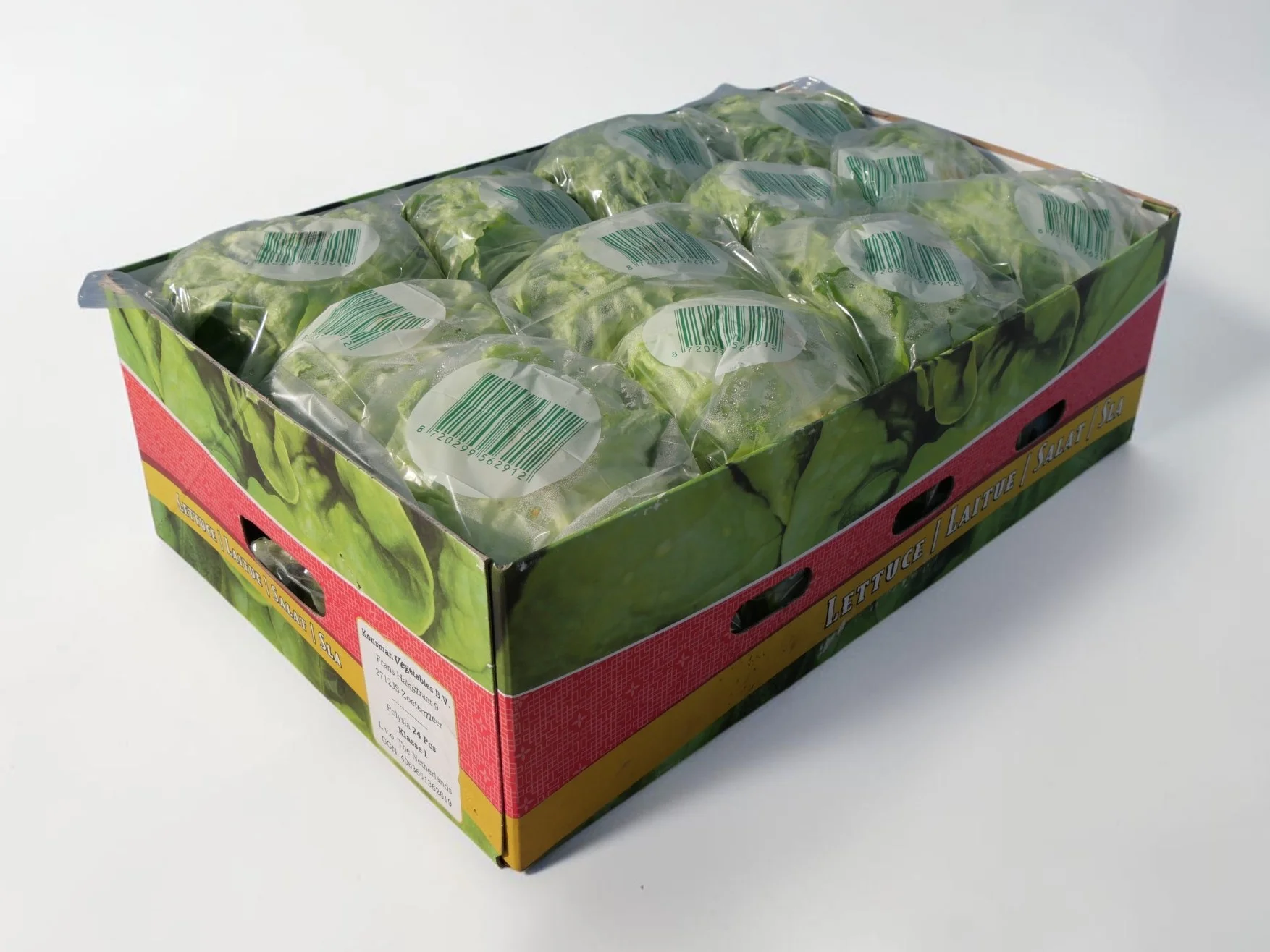 Polysla