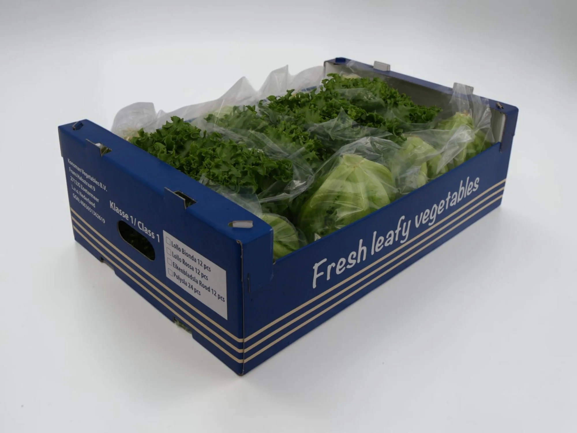 Crispy lettuce